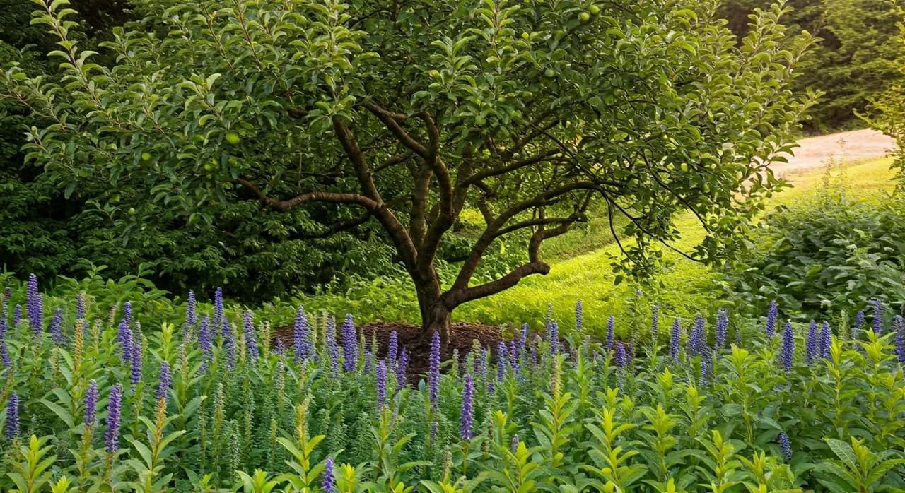 A thriving food forest guild in the Pacific Northwest, featuring a mature apple tree, currant bushes, comfrey, and shade-tolerant berries, with a visible swale.