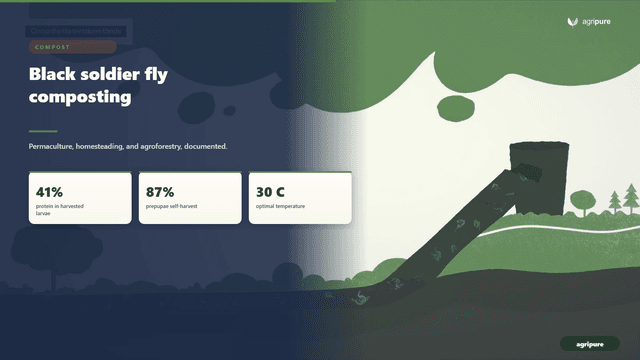 Black soldier fly composting: turn food waste into protein for your flock