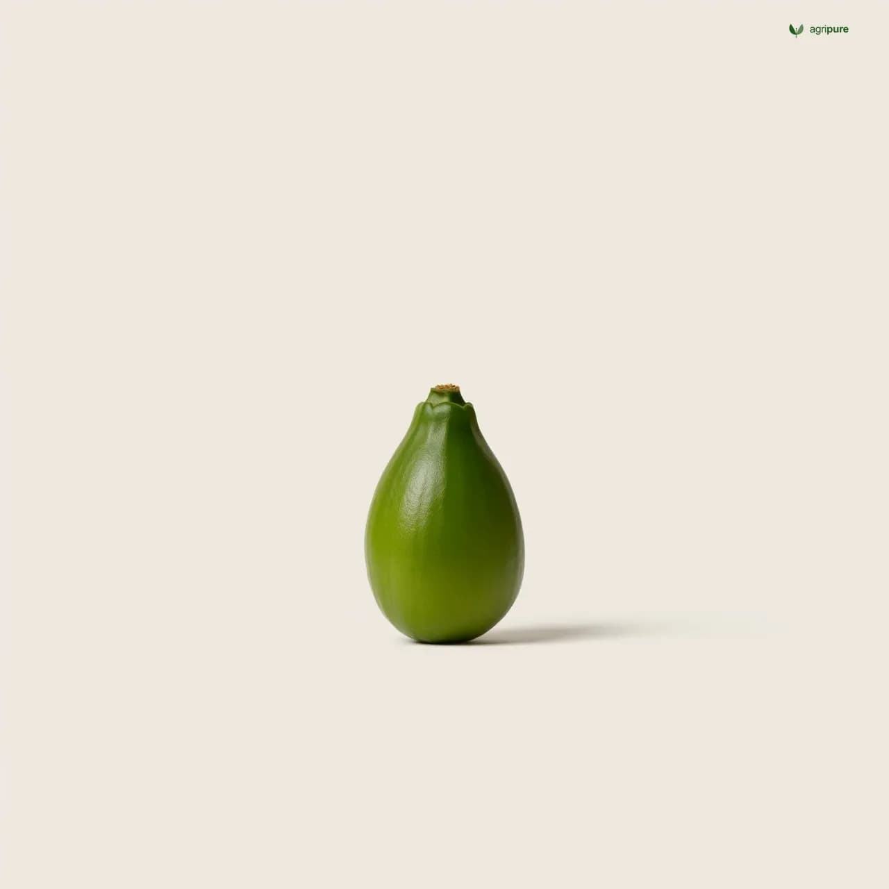 sesbania-bispinosa