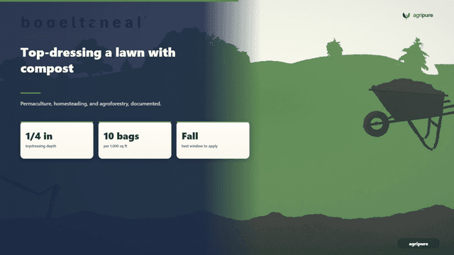 Top-dressing a lawn with compost