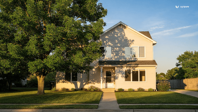 Fast growing shade trees: speed without the split limbs and wrecked pipes