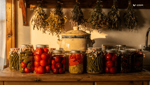The homesteading kitchen: preserving the harvest from scratch