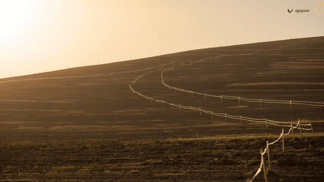 How to read keyline on a quarter-acre — a Pakistan smallholder primer