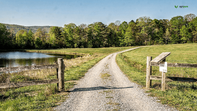 Buying land for homesteading: water, soil, and the perc test