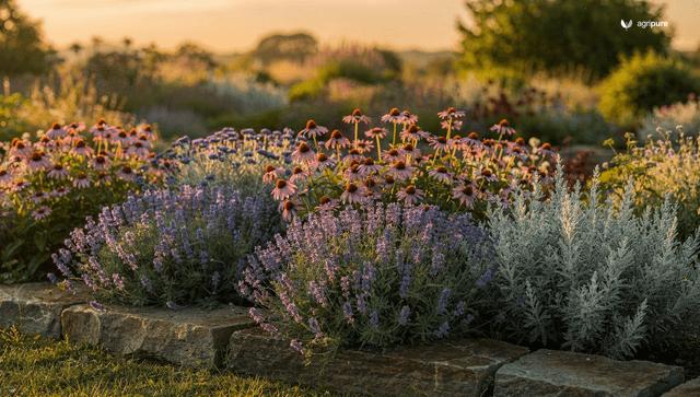 Low maintenance perennials: plant-it-and-forget-it picks by sun and zone
