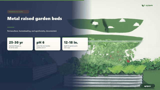Metal raised garden beds