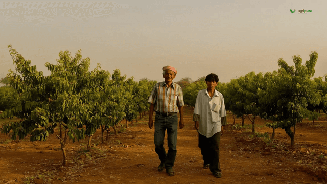 Passing the farm on — what year-fifteen owes year-thirty