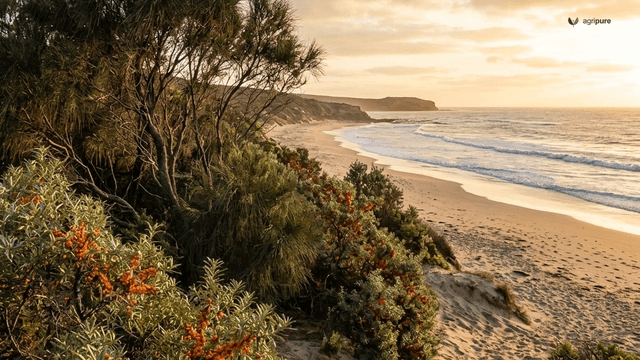 Salt-Tolerant Trees and Shrubs for Saline and Coastal Sites, by Hardiness Zone