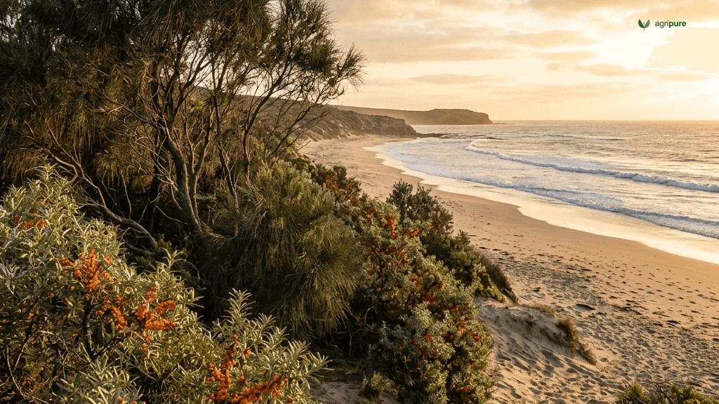 salt-tolerant-trees-shrubs-by-zone