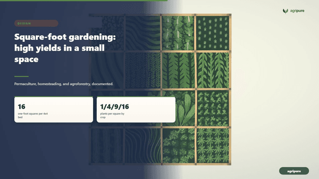 Square-foot gardening: high yields in a small space