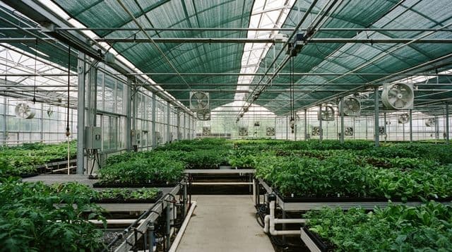 Greenhouse climate control: shade cloth, cooling, insulation, and automation