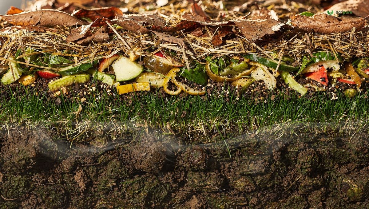 A compost pile layered with brown leaves and straw and green kitchen scraps and grass clippings