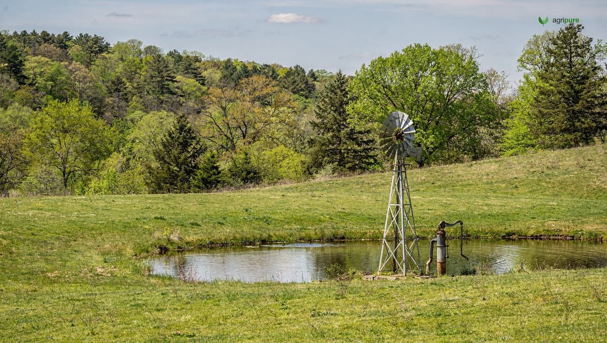 A rural property with a pond and a windmill well pump on green pasture, hills behind, clear day