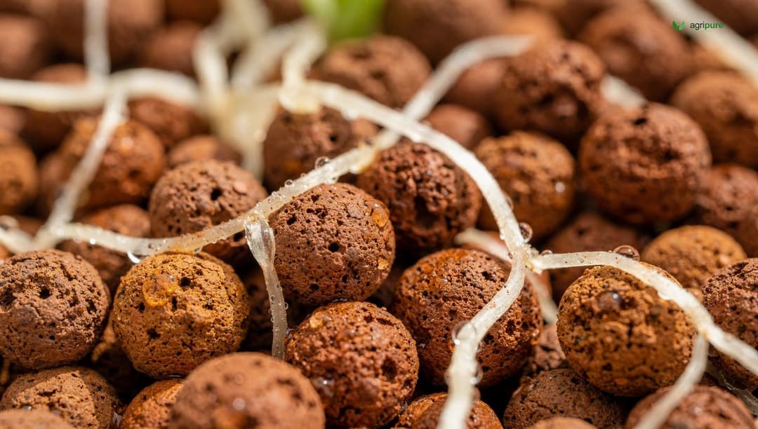 Close-up of gravel grow media in an aquaponics media bed, with plant roots threading through the stones and water droplets visible on the surface