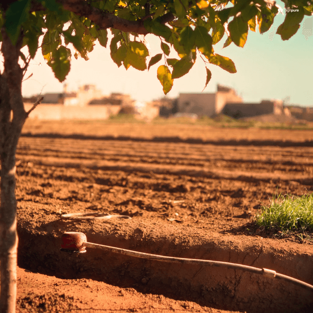 Drip irrigation when the grid is unreliable — a Pakistan reality manual