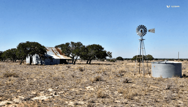 Homesteading in Texas: climate, land, the ag exemption, and water