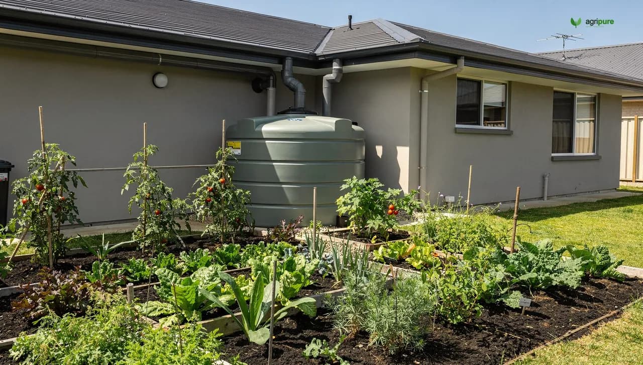 A large rainwater tank beside a house with gutters feeding it and a vegetable garden nearby