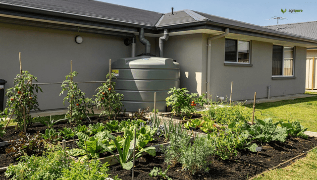 Rainwater harvesting: catch the free water on your roof