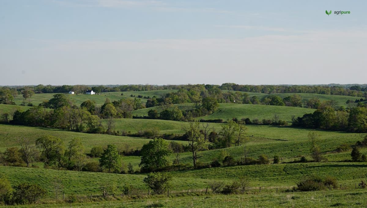 A wide rural American landscape of green pasture, woodlots, and a distant farmhouse under a big sky
