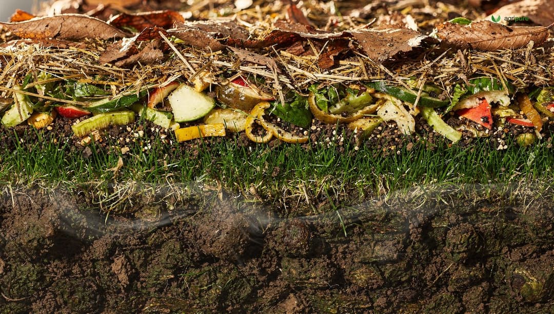 A compost pile layered with brown leaves and straw and green kitchen scraps and grass clippings