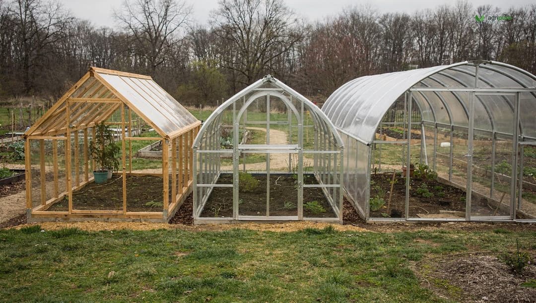 Three backyard greenhouse roof shapes side by side: a straight-sided A-frame gable, a curved gothic arch, and a rounded quonset hoop house, clear glazing, no people