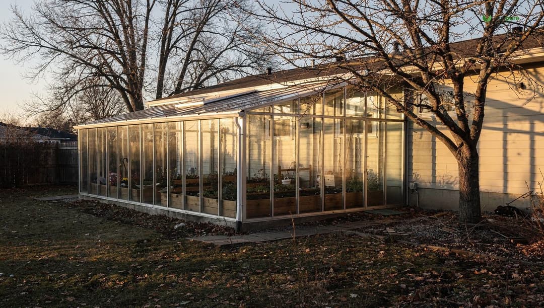 A backyard greenhouse positioned on the south side of a house with its long glazing wall facing the low winter sun, bare deciduous trees nearby, raised beds inside, no people