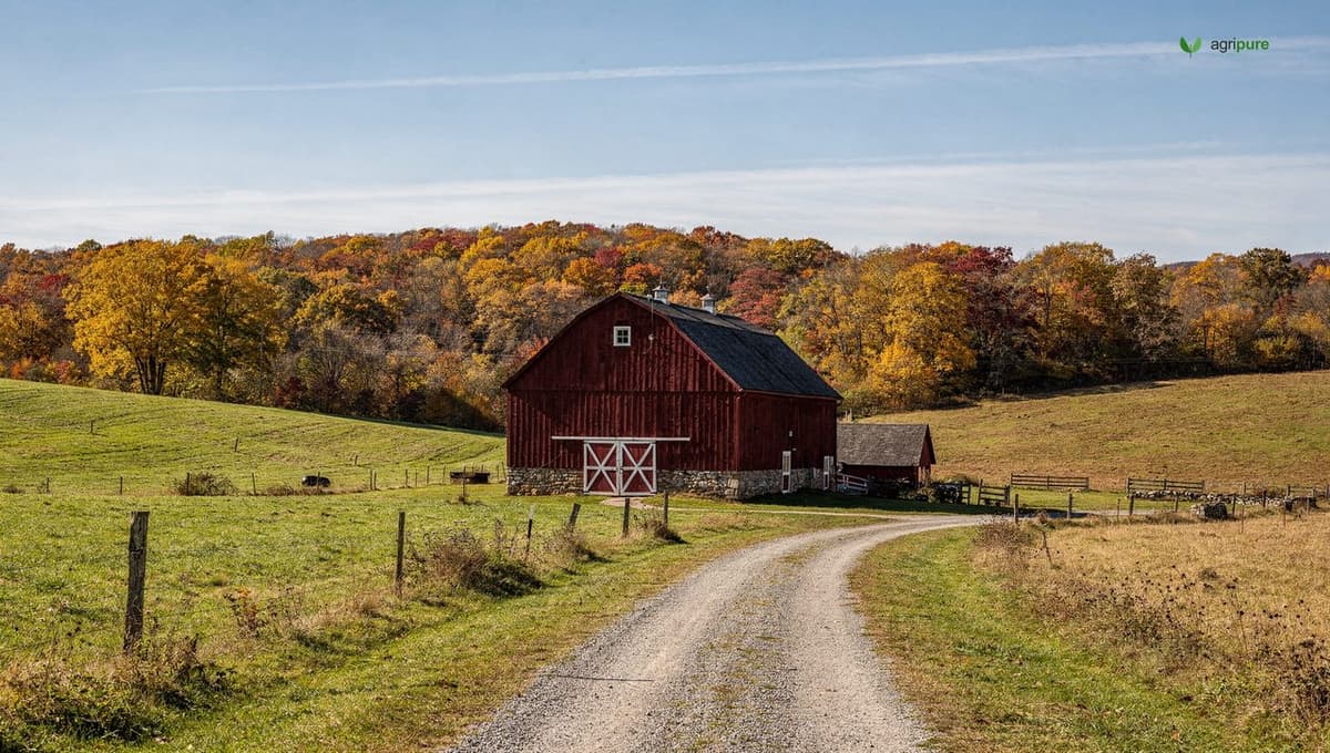 A Pennsylvania farm landscape with a classic bank barn, green fields, and a wooded ridge in autumn