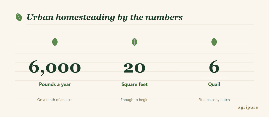 Urban homesteading by the numbers: 6,000 pounds of food on a tenth of an acre, gardening from as little as 20 square feet, and 6 quail on a balcony