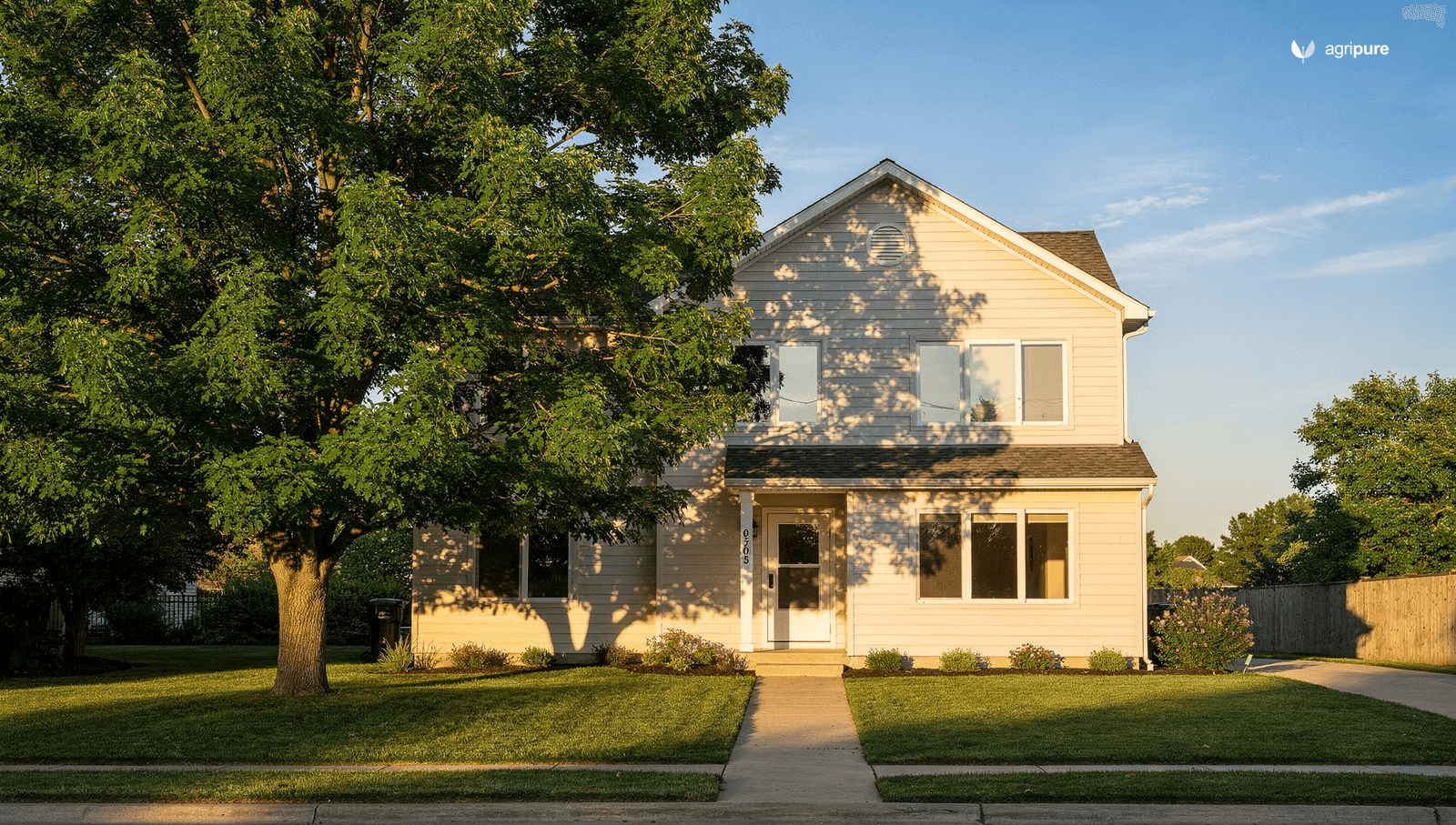 A two-story house on a summer afternoon with a broad-canopied deciduous shade tree casting cool shadow across the west-facing wall and lawn.
