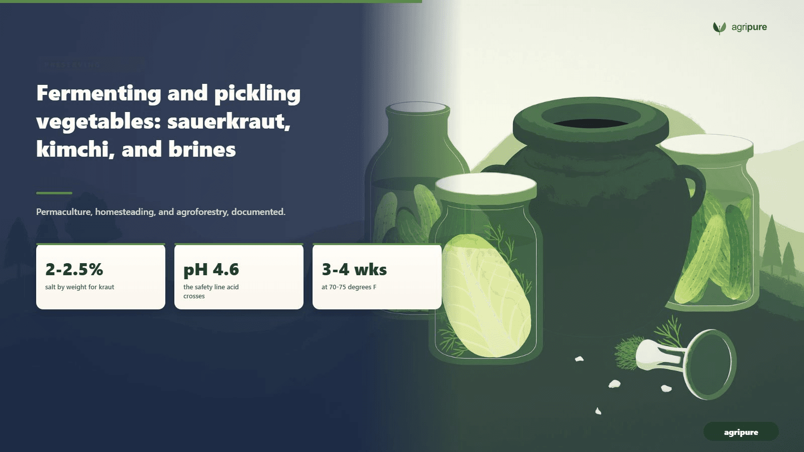 A homestead kitchen counter set up for fermenting vegetables with a stoneware crock and glass jars of cabbage and cucumbers under brine and a glass fermentation weight