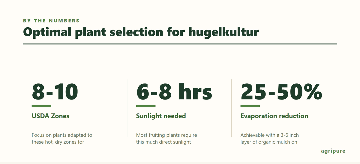 Infographic showing tips for selecting plants for hugelkultur beds.