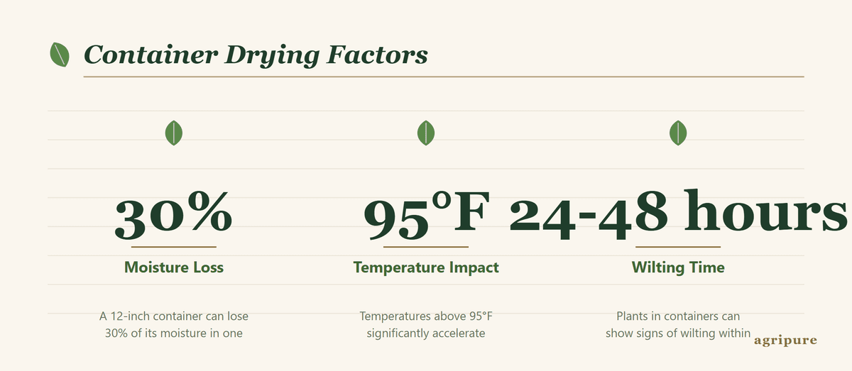 Infographic showing factors that cause container gardens to dry out quickly.