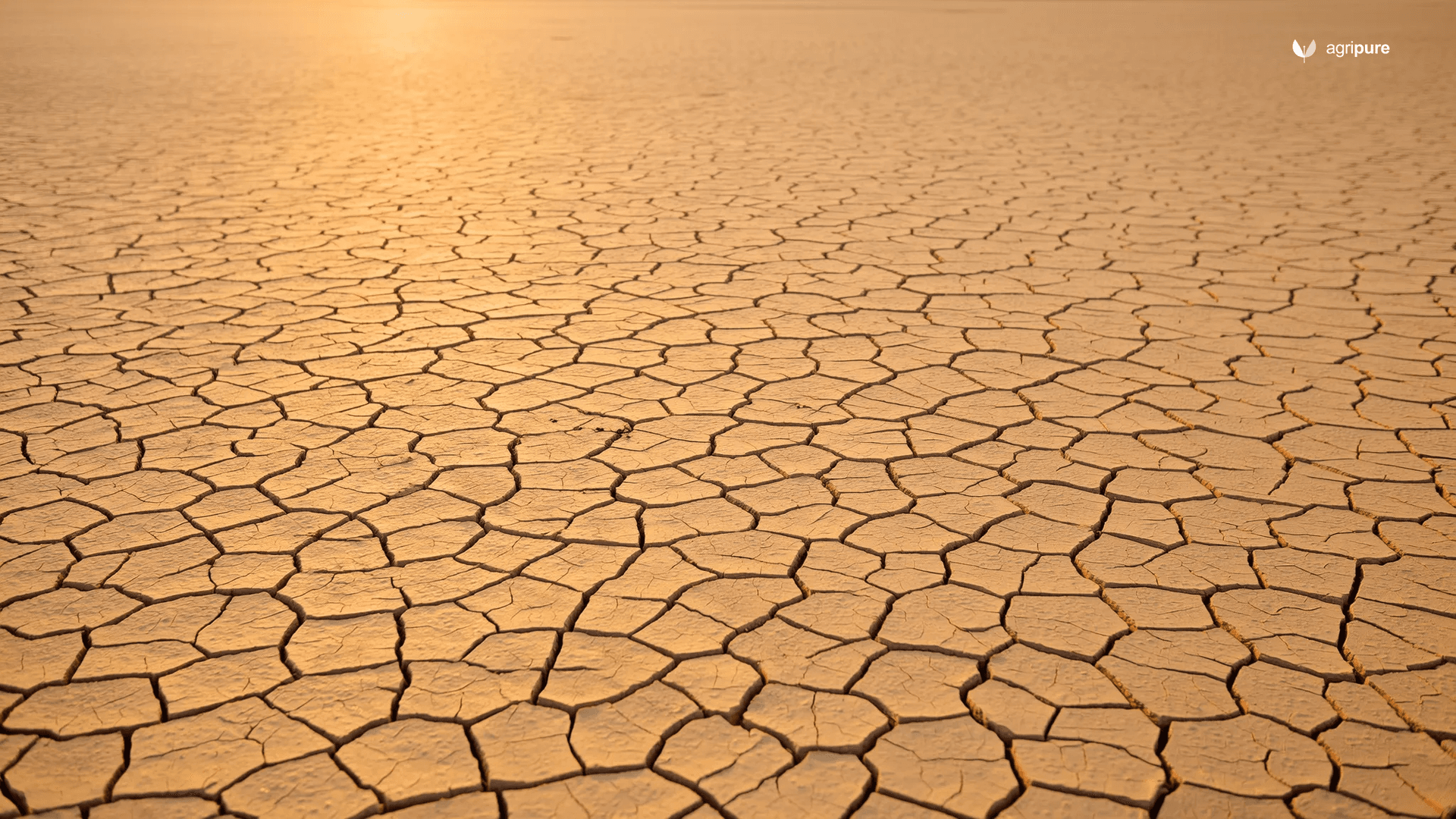 pothohar-reading-soil-cracks