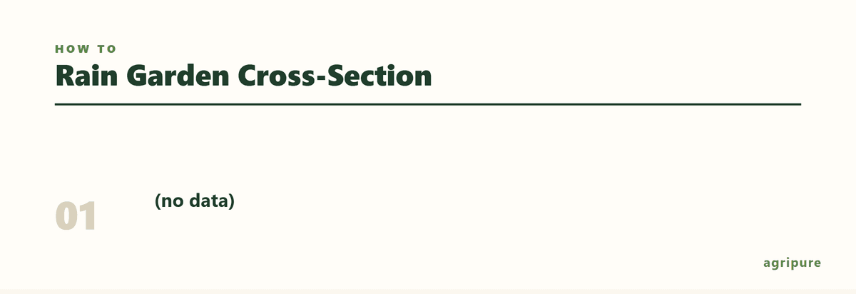 Diagram showing the layers and components of a rain garden cross-section
