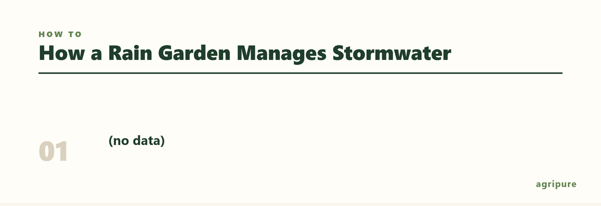 Diagram showing the steps of water flowing into and through a rain garden