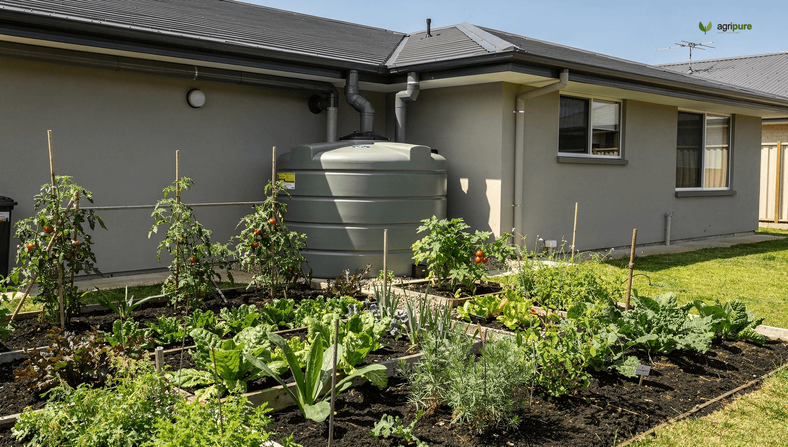 A large rainwater tank beside a house with gutters feeding it and a vegetable garden nearby