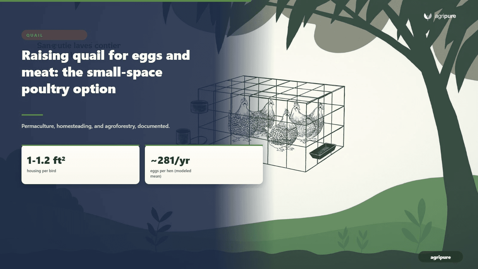 A compact backyard quail setup: a clean wire-floored cage of Coturnix quail with a low ceiling, a feeder trough and a nipple waterer, in dappled light, no people