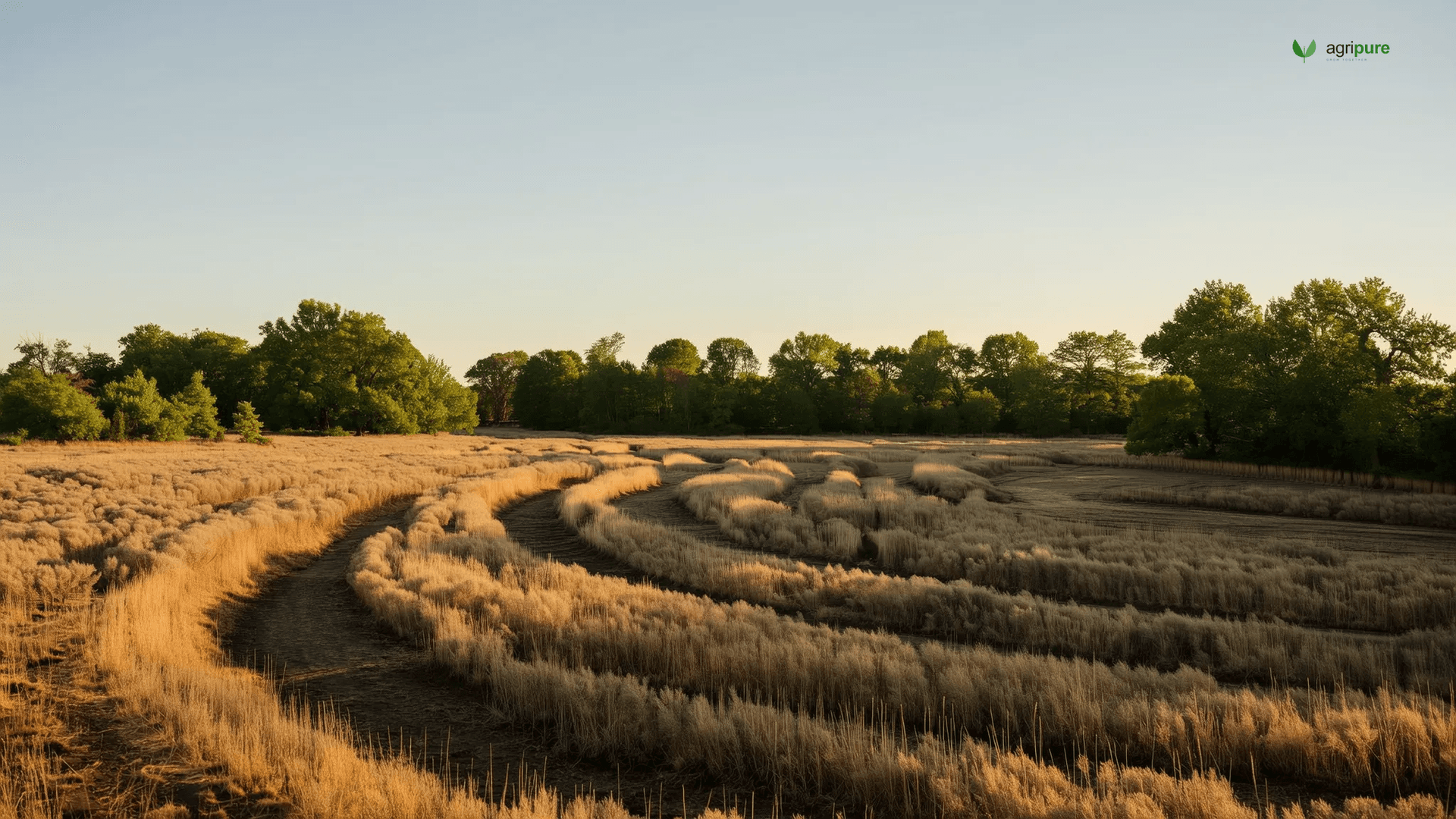swale-maintenance-year-seven