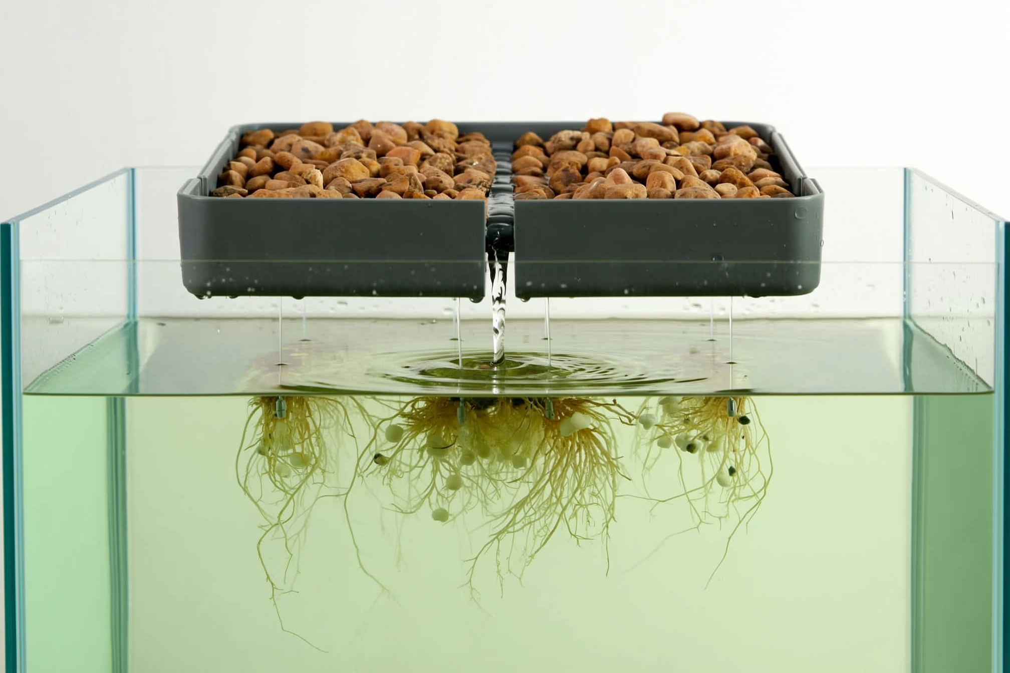 Diagram-style photo of a small aquaponics system showing water flowing from a grow bed tray filled with clay pebbles back down into a fish tank with visible roots hanging in the water