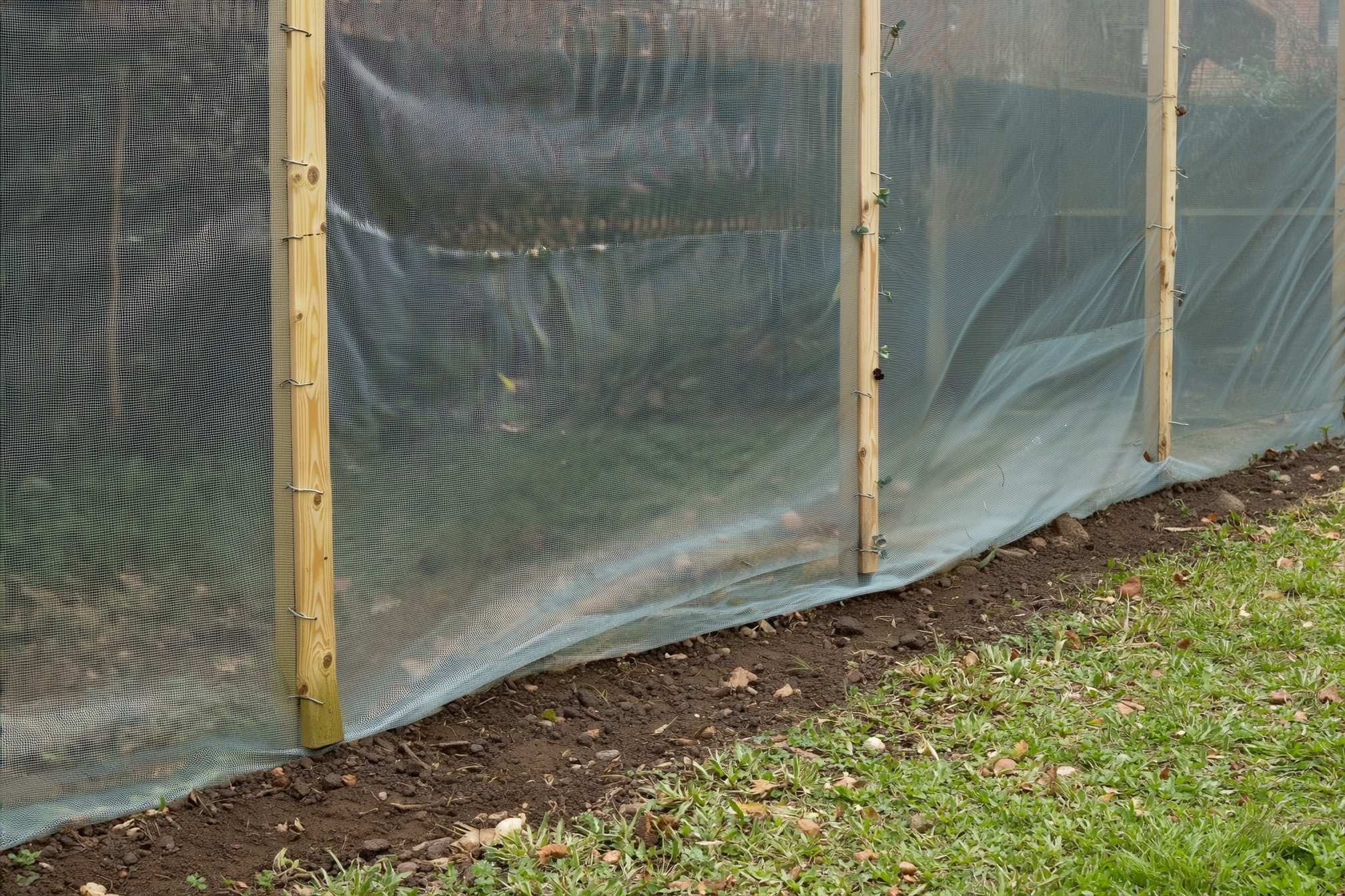 A chicken run wall covered in half-inch galvanized hardware-cloth mesh stapled to a wooden frame, with a buried mesh apron skirting out along the ground, no people