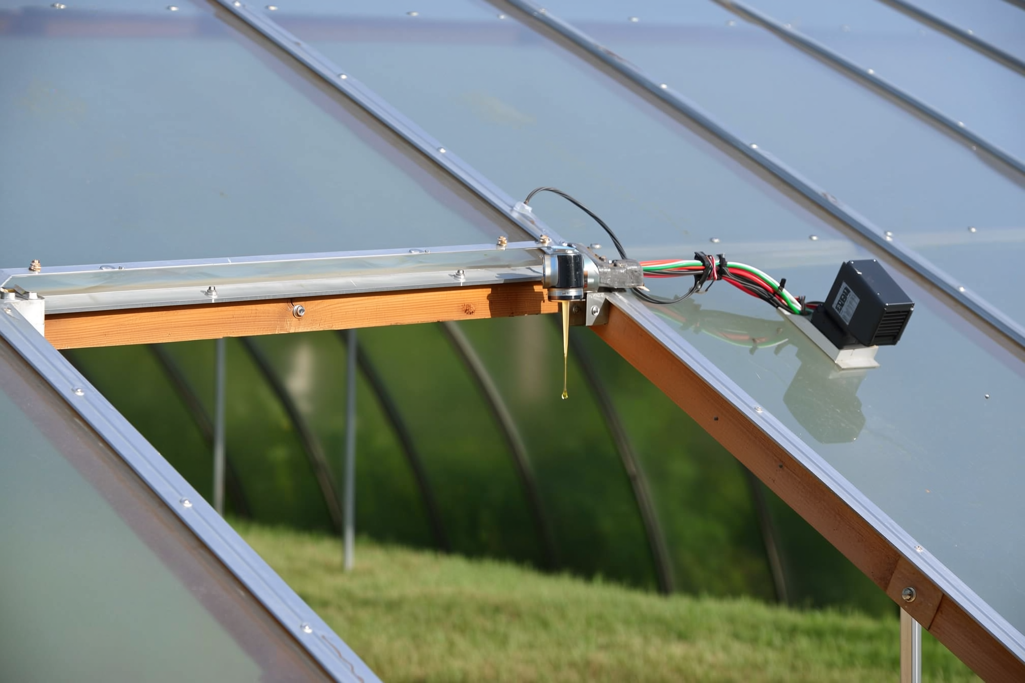 An automatic wax-cylinder vent opener mounted on a propped-open greenhouse roof vent, with a thermostat and sensor box on the frame nearby, no people