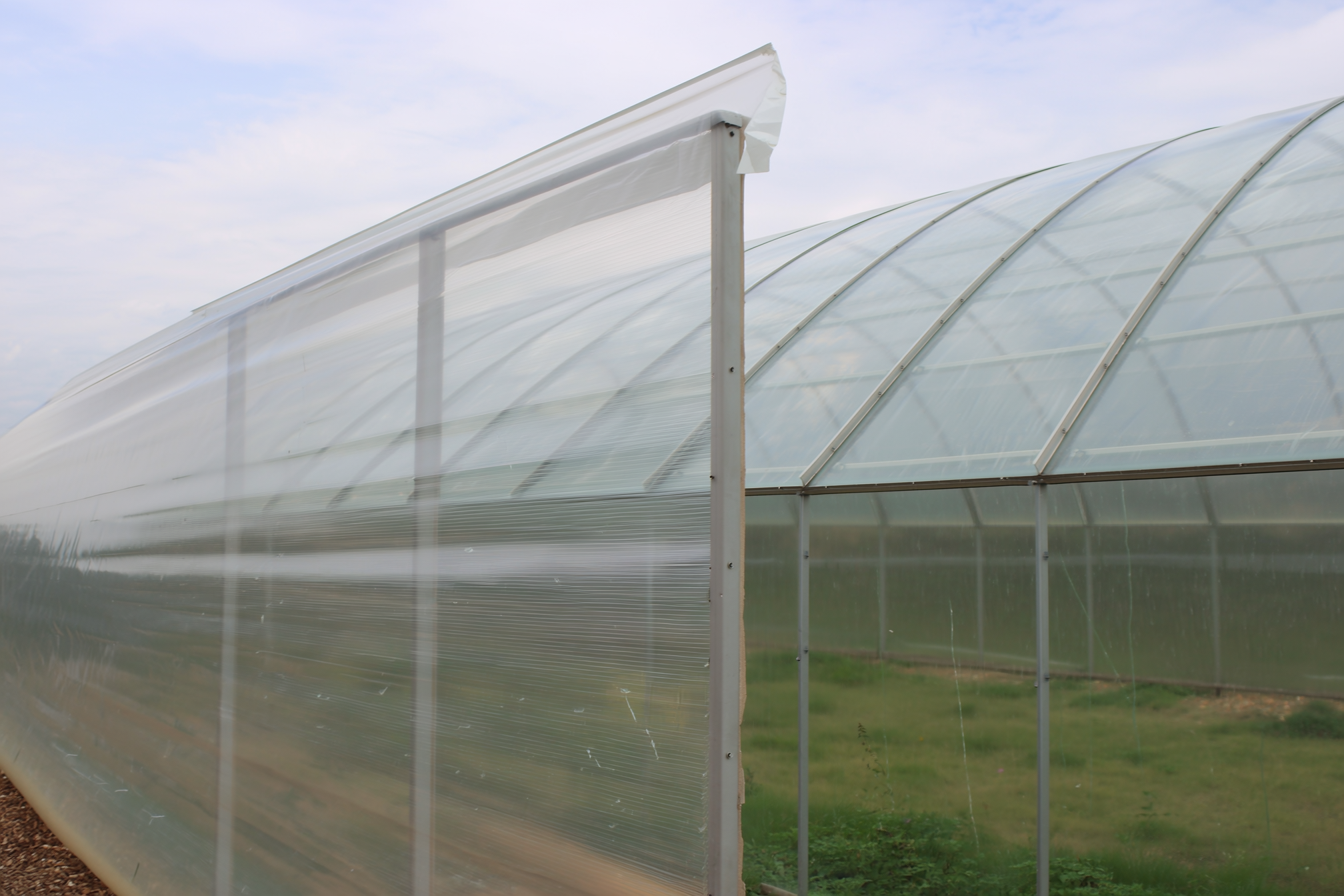 A twin-wall polycarbonate greenhouse panel with hollow channels next to a clear pane of greenhouse glass, showing the difference in structure and transparency, no people