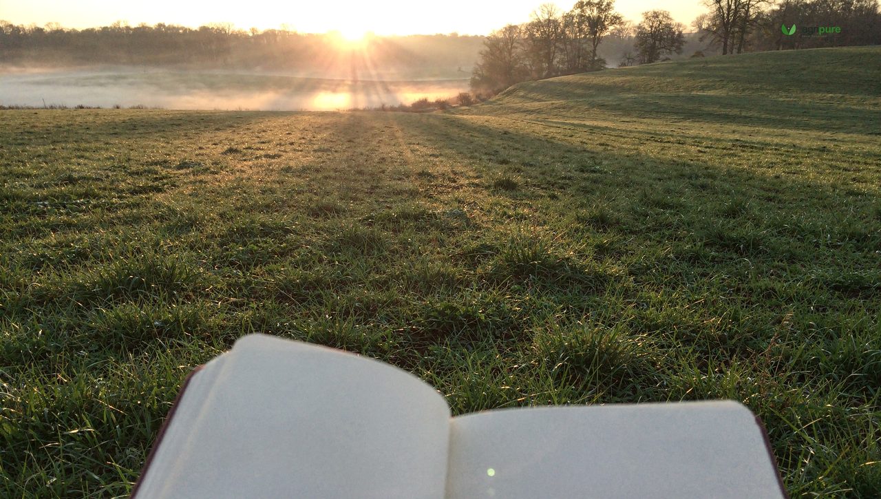 A person standing in a field at dawn observing the land, notebook in hand, mist and low sun across the property