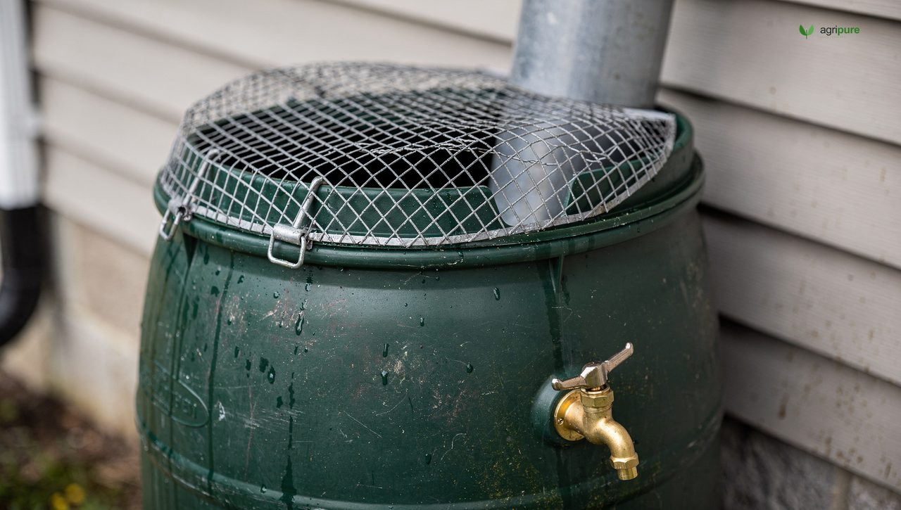 A rain barrel connected to a downspout with a mesh screen on top and a spigot near the base, beside a house wall