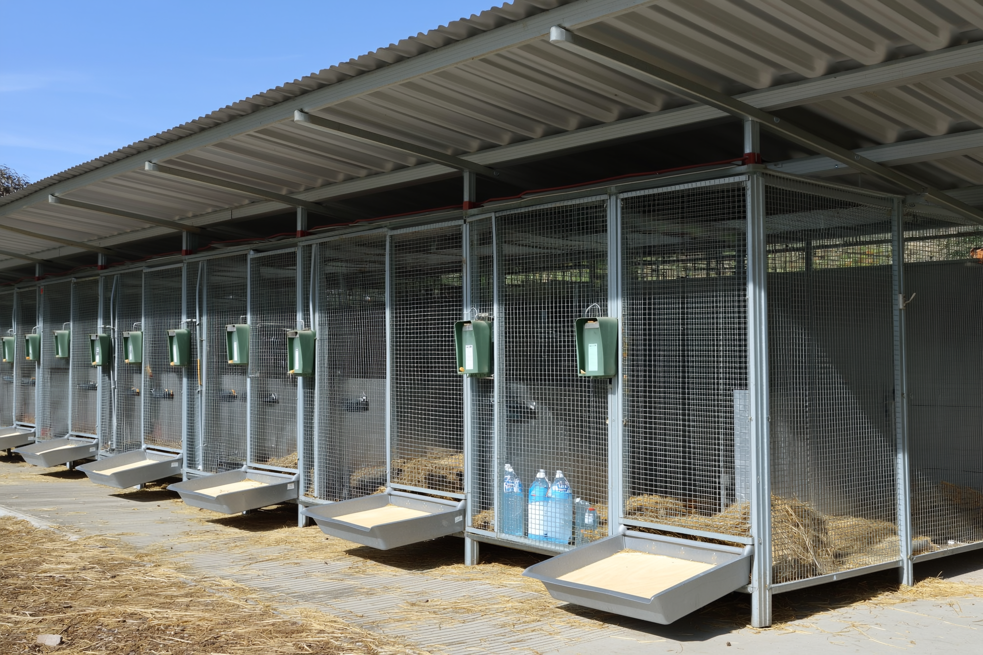A row of raised galvanized wire meat-rabbit hutches under a shade roof, each with a pull-out dropping tray, a solid resting board on the wire floor, hay racks and water bottles, no people