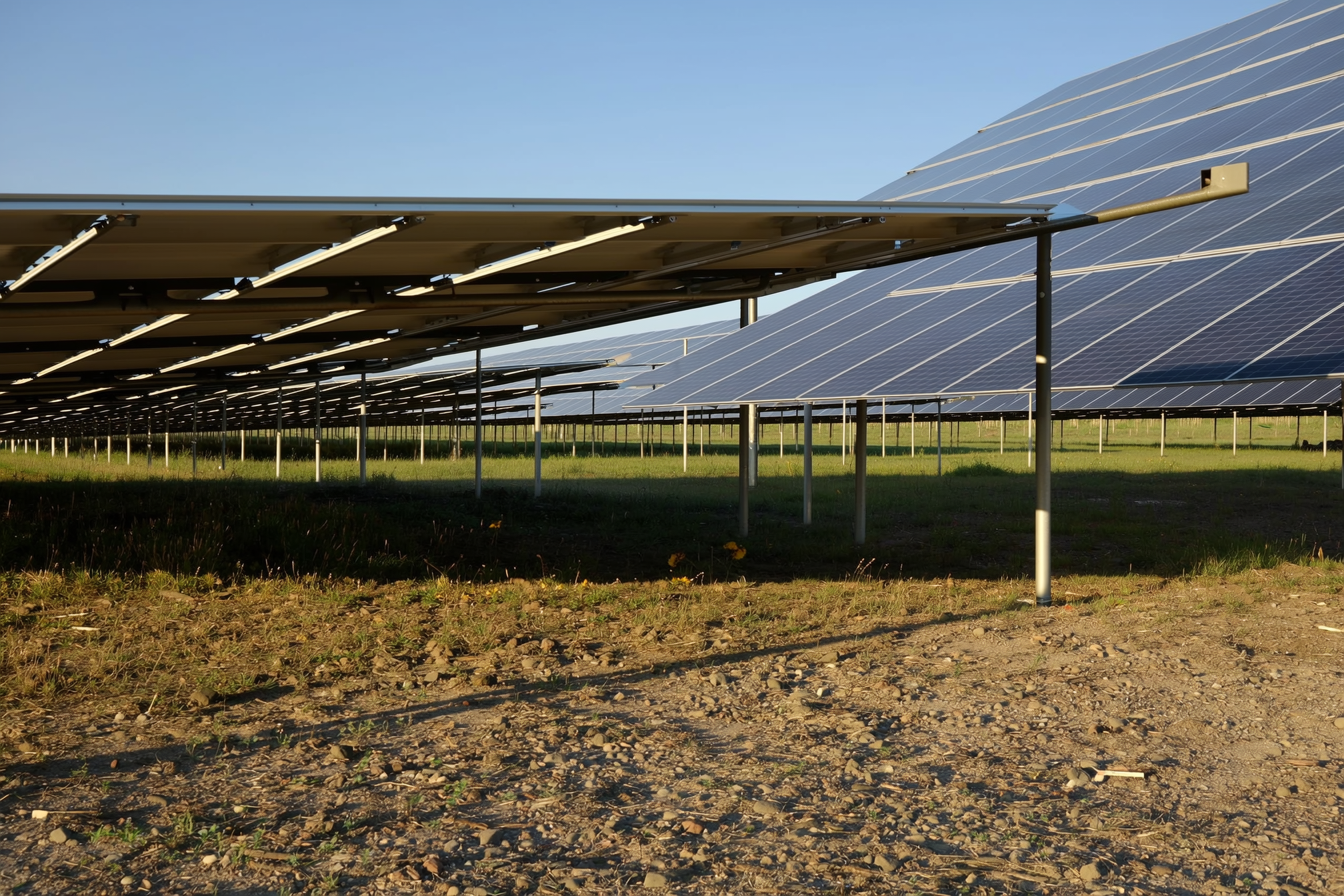 Ground-level view of the spacing and shadow between two rows of tilted solar panels in low afternoon light