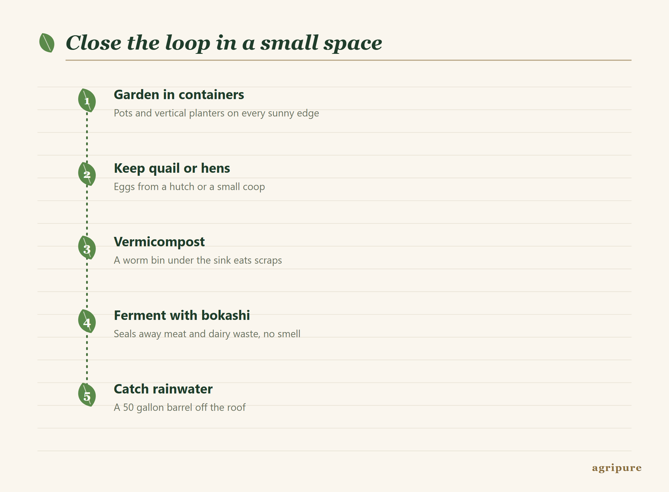 Five small-space steps: garden in containers, keep quail or hens, vermicompost under the sink, ferment with bokashi, and catch rainwater