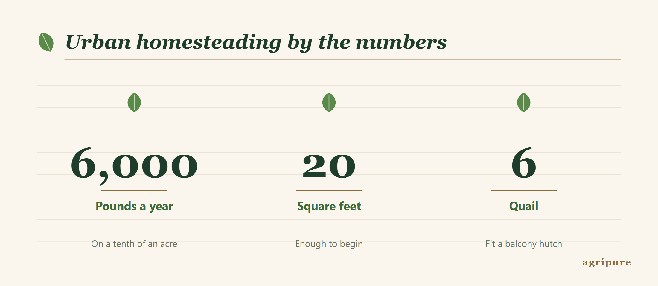 Urban homesteading by the numbers: 6,000 pounds of food on a tenth of an acre, gardening from as little as 20 square feet, and 6 quail on a balcony