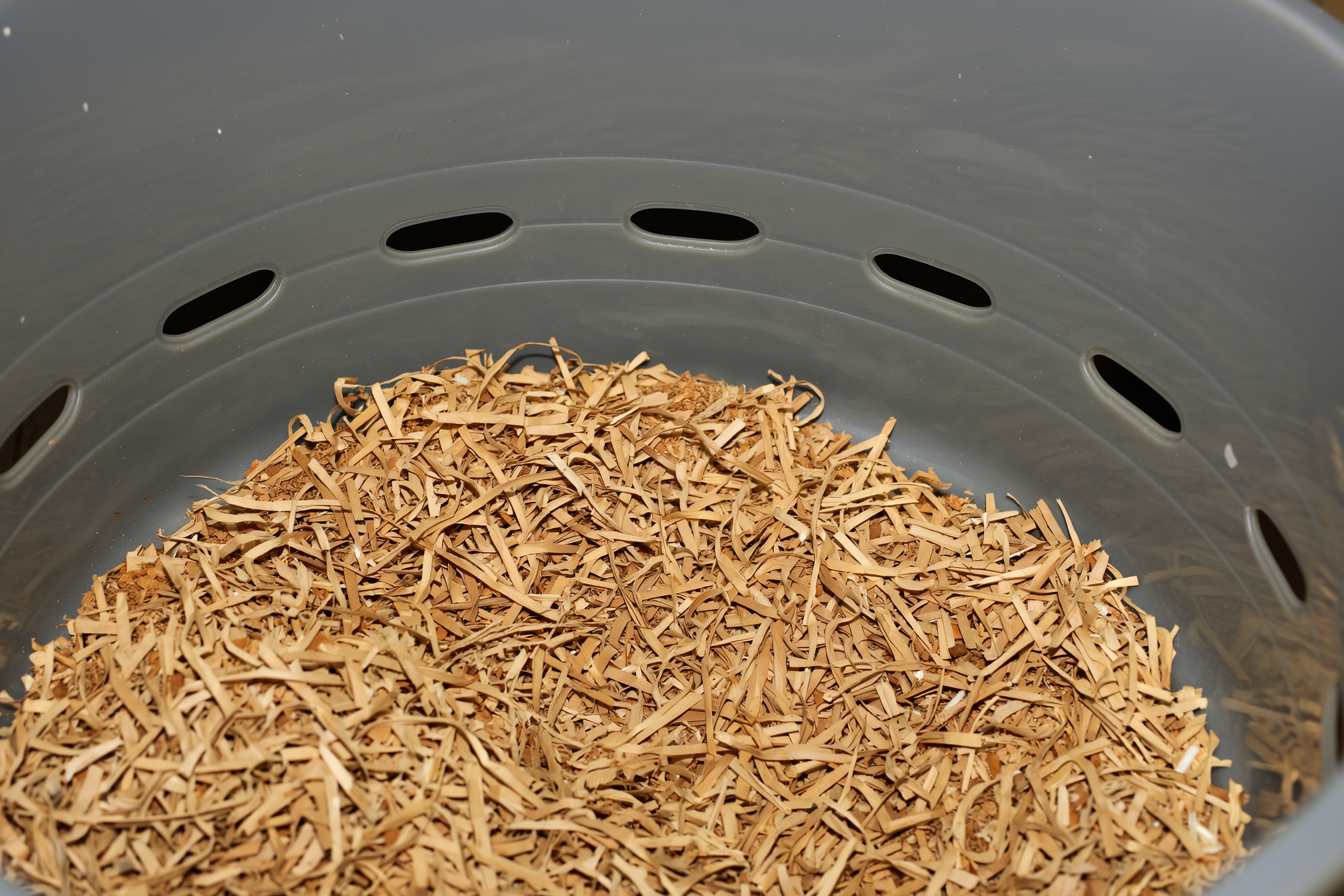 A shallow plastic bin with ventilation holes and organic shredded paper bedding.